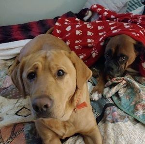 Meet your Posher, Scott